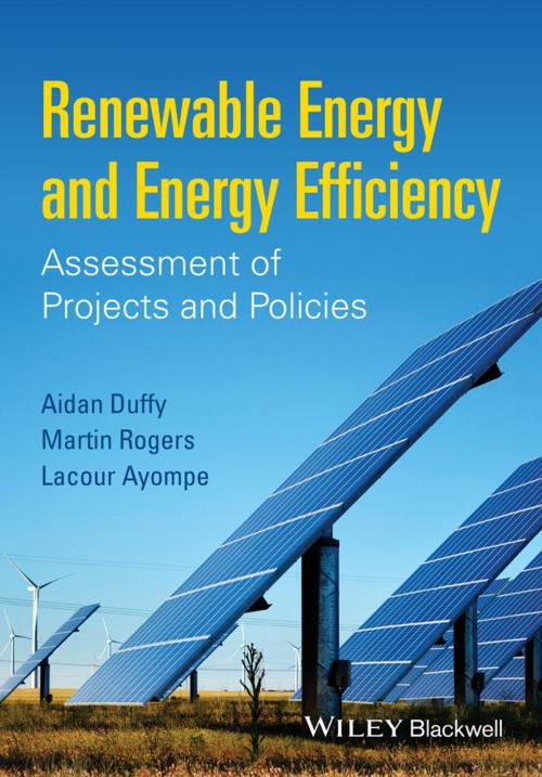 Cover of the book Renewable Energy and Energy Efficiency by Aidan Duffy, Martin Rogers, Lacour Ayompe, Wiley