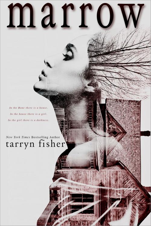 Cover of the book Marrow by Tarryn Fisher, Tarryn Fisher