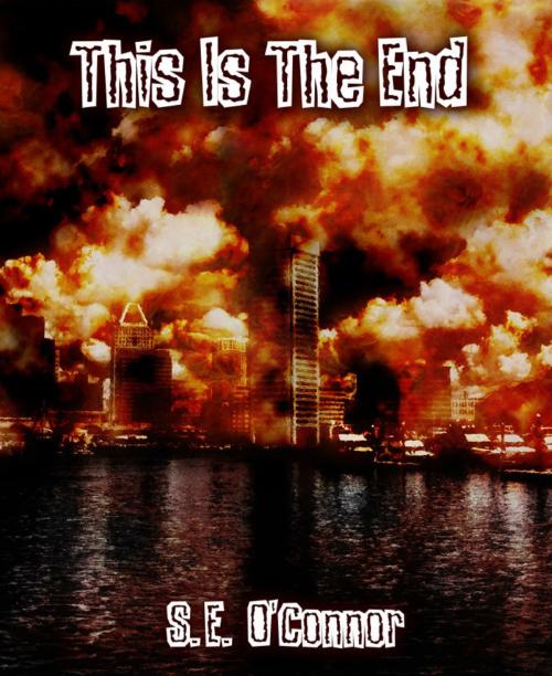 Cover of the book This Is The End by S.E. O'Connor, S.E. O'Connor
