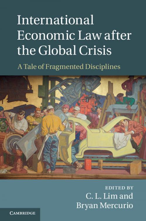 Cover of the book International Economic Law after the Global Crisis by , Cambridge University Press