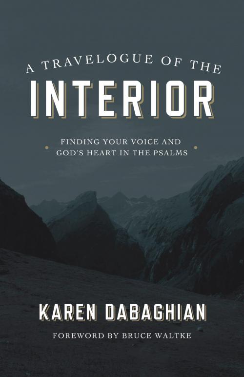 Cover of the book A Travelogue of the Interior by Karen Dabaghian, David C Cook