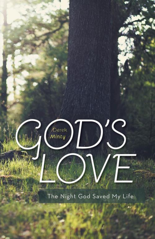 Cover of the book God's Love by Derek Minty, FriesenPress