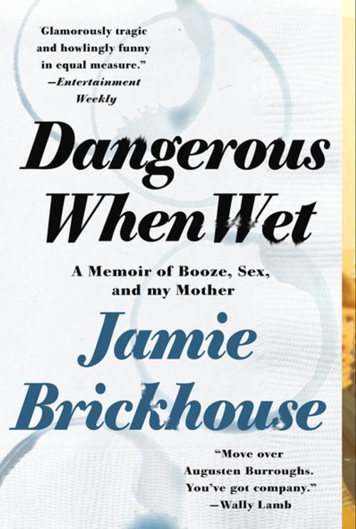 Cover of the book Dangerous When Wet by Jamie Brickhouse, St. Martin's Press