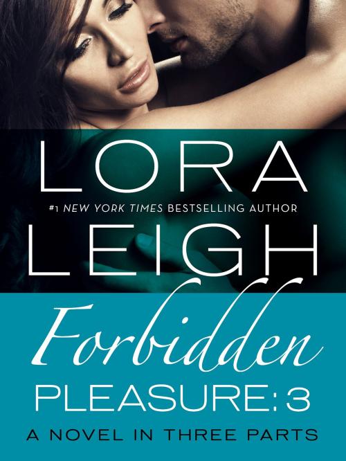 Cover of the book Forbidden Pleasure: Part 3 by Lora Leigh, St. Martin's Press
