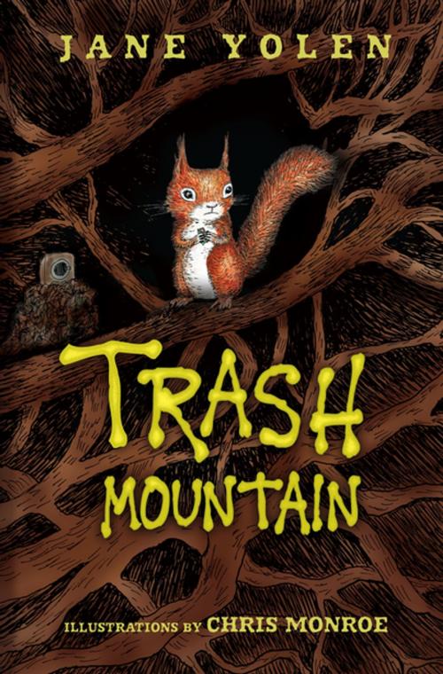 Cover of the book Trash Mountain by Jane Yolen, Lerner Publishing Group