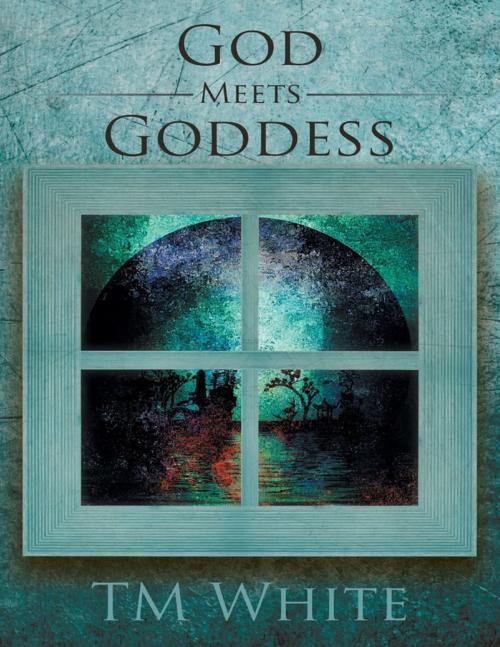 Cover of the book God Meets Goddess by TM White, Lulu Publishing Services