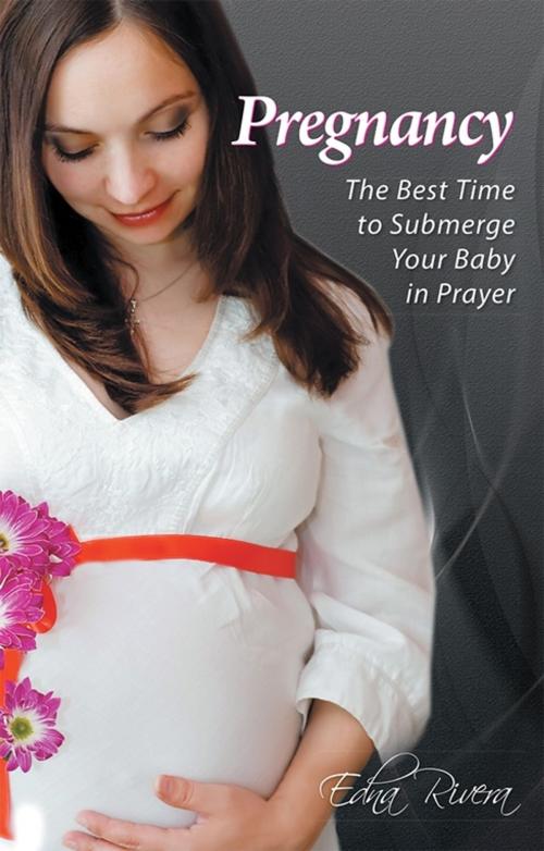 Cover of the book Pregnancy by Edna Rivera, WestBow Press