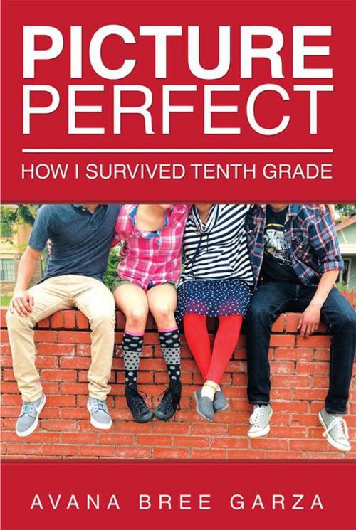 Cover of the book Picture Perfect by Avana Bree Garza, Xlibris US