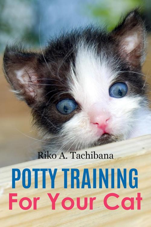 Cover of the book Potty Training For Your Cat by Riko A. Tachibana, Riko A. Tachibana
