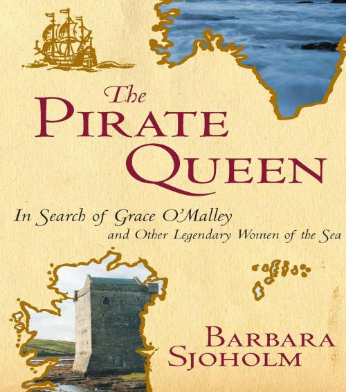 Cover of the book The Pirate Queen by Barbara Sjoholm, Basic Books