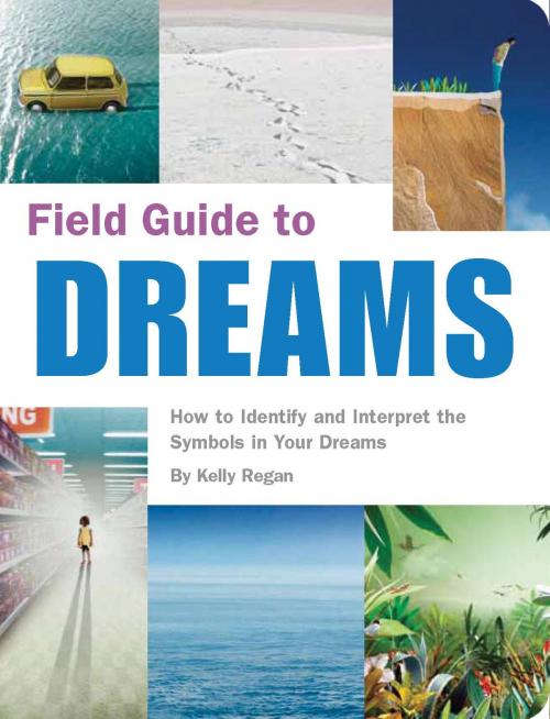 Cover of the book Field Guide to Dreams by Kelly Regan, Quirk Books