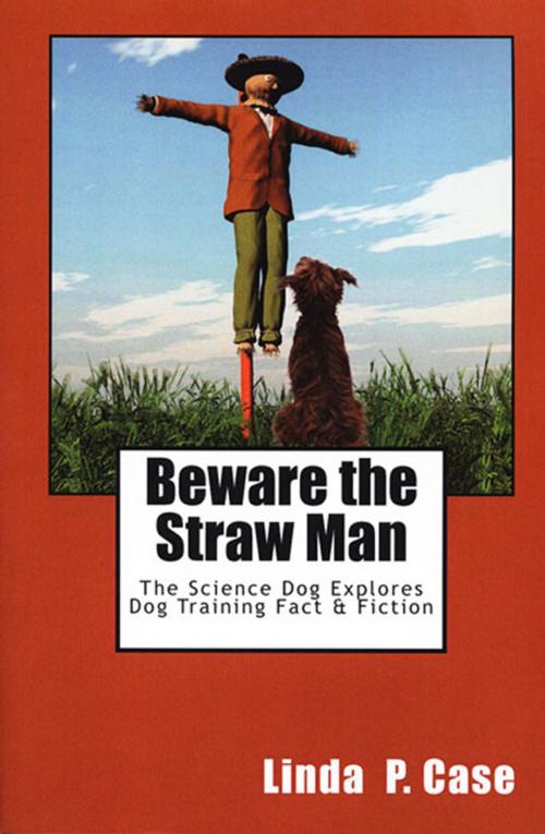 Cover of the book BEWARE THE STRAW MAN by Linda Case, AutumnGold Publishing