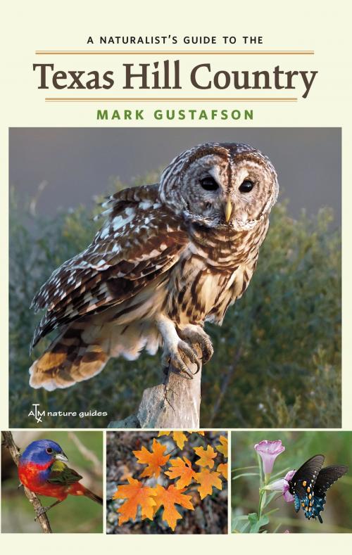 Cover of the book A Naturalist's Guide to the Texas Hill Country by Mark Gustafson, Texas A&M University Press