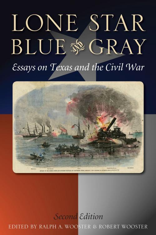 Cover of the book Lone Star Blue and Gray by , Texas State Historical Assn Press