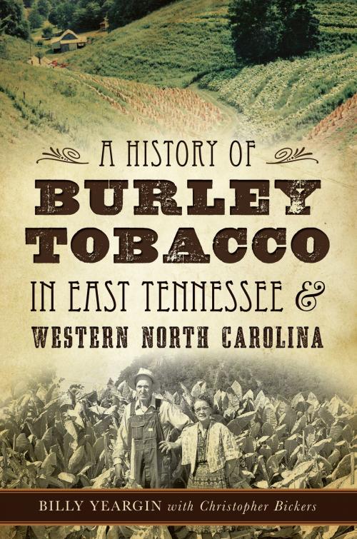 Cover of the book A History of Burley Tobacco in East Tennessee & Western North Carolina by Billy Yeargin, The History Press