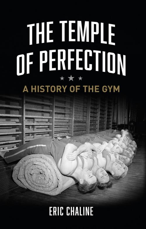 Cover of the book The Temple of Perfection by Eric Chaline, Reaktion Books