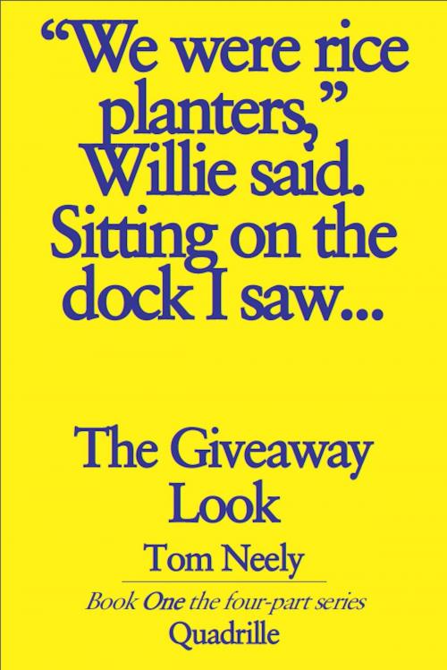 Cover of the book The Giveaway Look by Tom Neely, Tom Neely