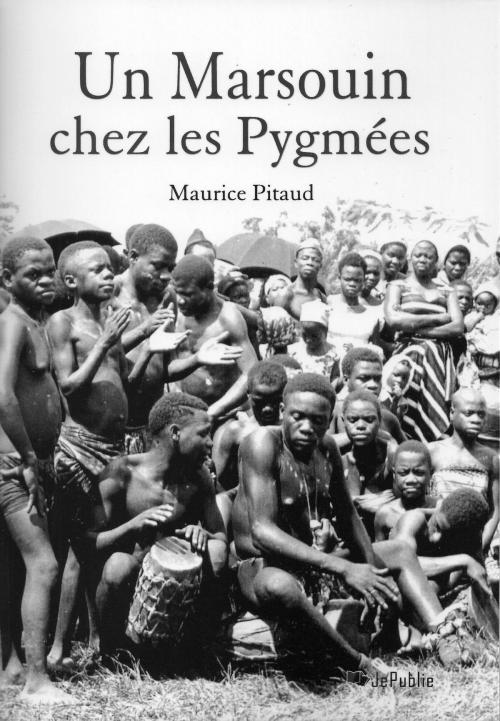 Cover of the book Un Marsouin chez les pygmées by Maurice Pitaud, Editions VOolume