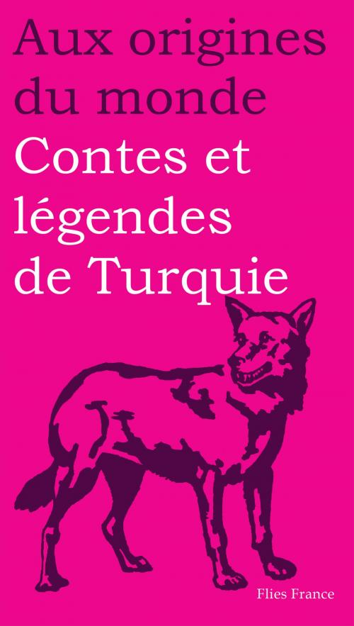 Cover of the book Contes et légendes de Turquie by Rémy Dor, Aux origines du monde, Flies France Éditions