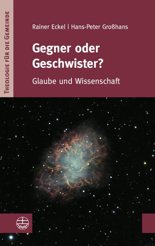 Cover of the book Gegner oder Geschwister? by Hans-Peter Großhans, Rainer Eckel, Evangelische Verlagsanstalt