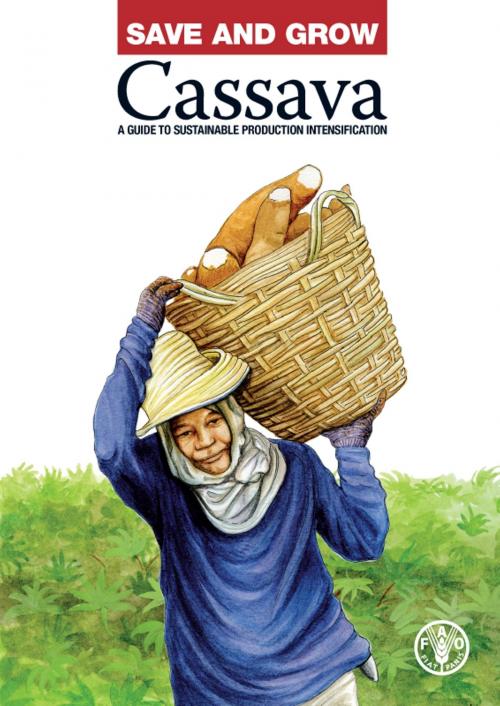 Cover of the book Save and Grow: Cassava by Food and Agriculture Organization of the United Nations, Food and Agriculture Organization of the United Nations