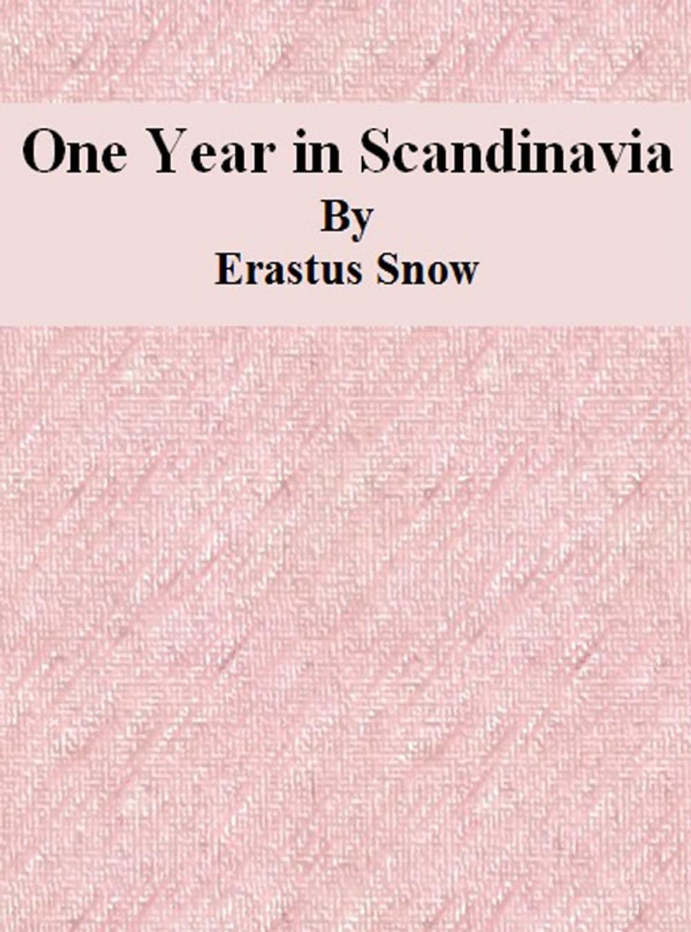 Big bigCover of One Year in Scandinavia