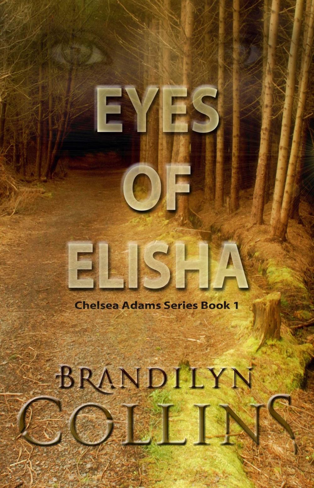 Big bigCover of Eyes Of Elisha