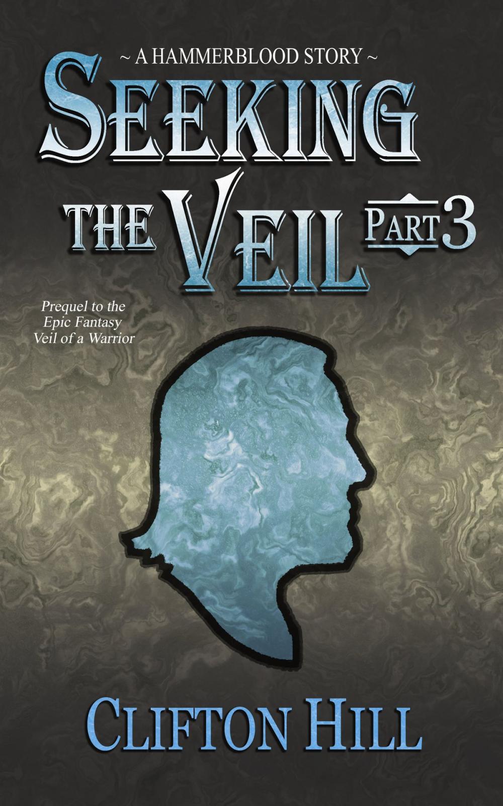 Big bigCover of Seeking the Veil, Part 3