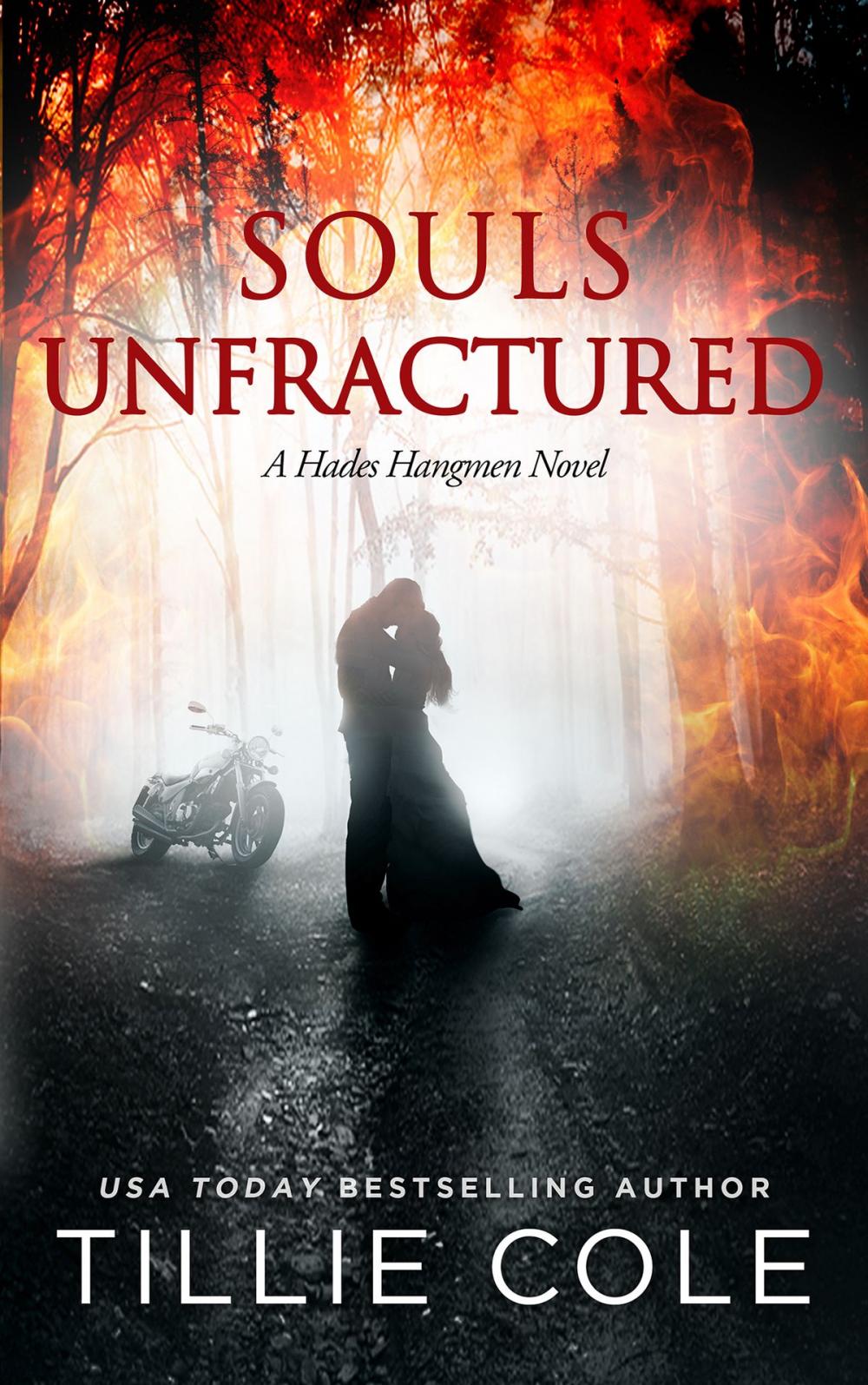 Big bigCover of Souls Unfractured