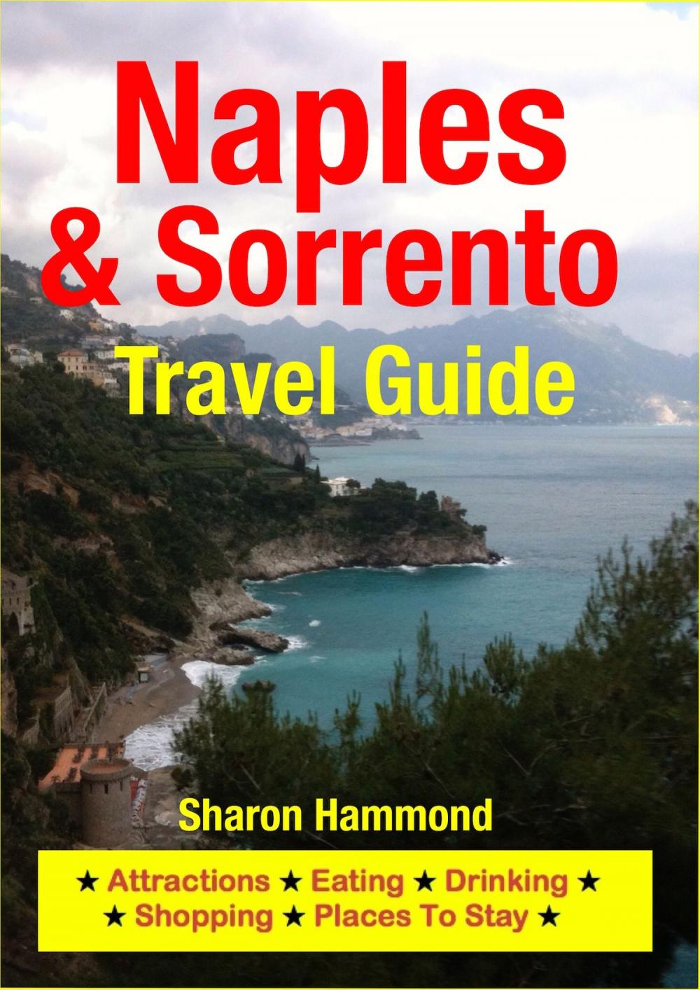 Big bigCover of Naples & Sorrento Travel Guide