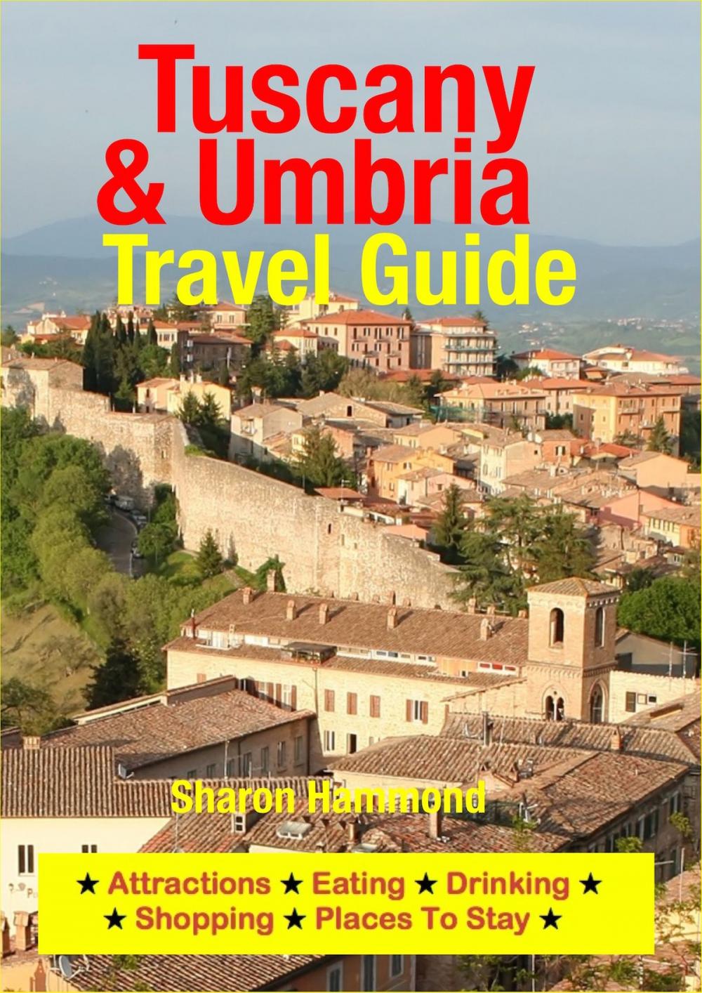 Big bigCover of Tuscany & Umbria Travel Guide