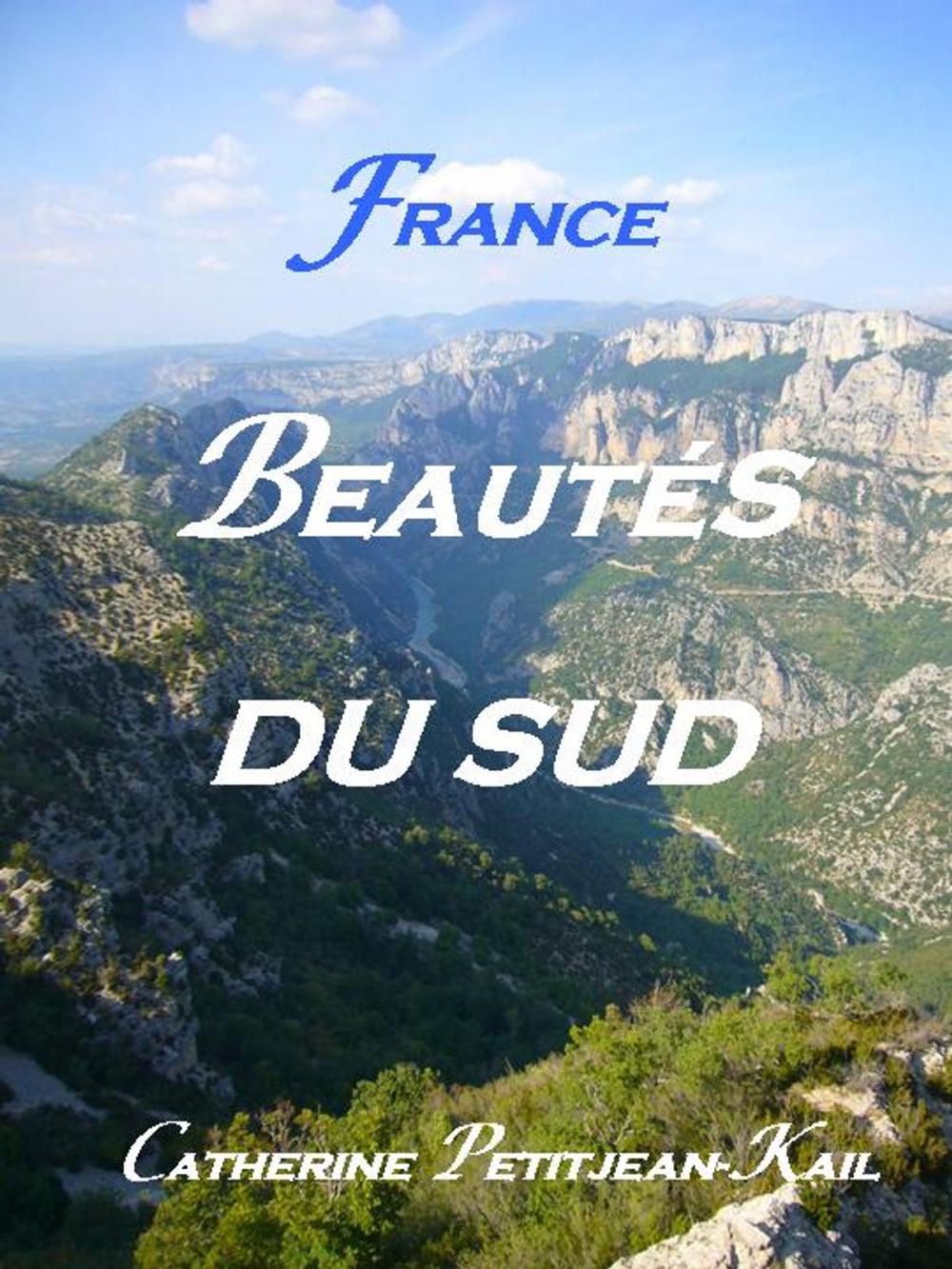 Big bigCover of SUD DE LA FRANCE