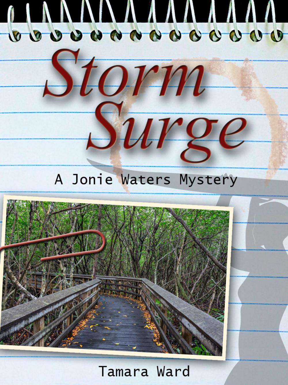 Big bigCover of Storm Surge