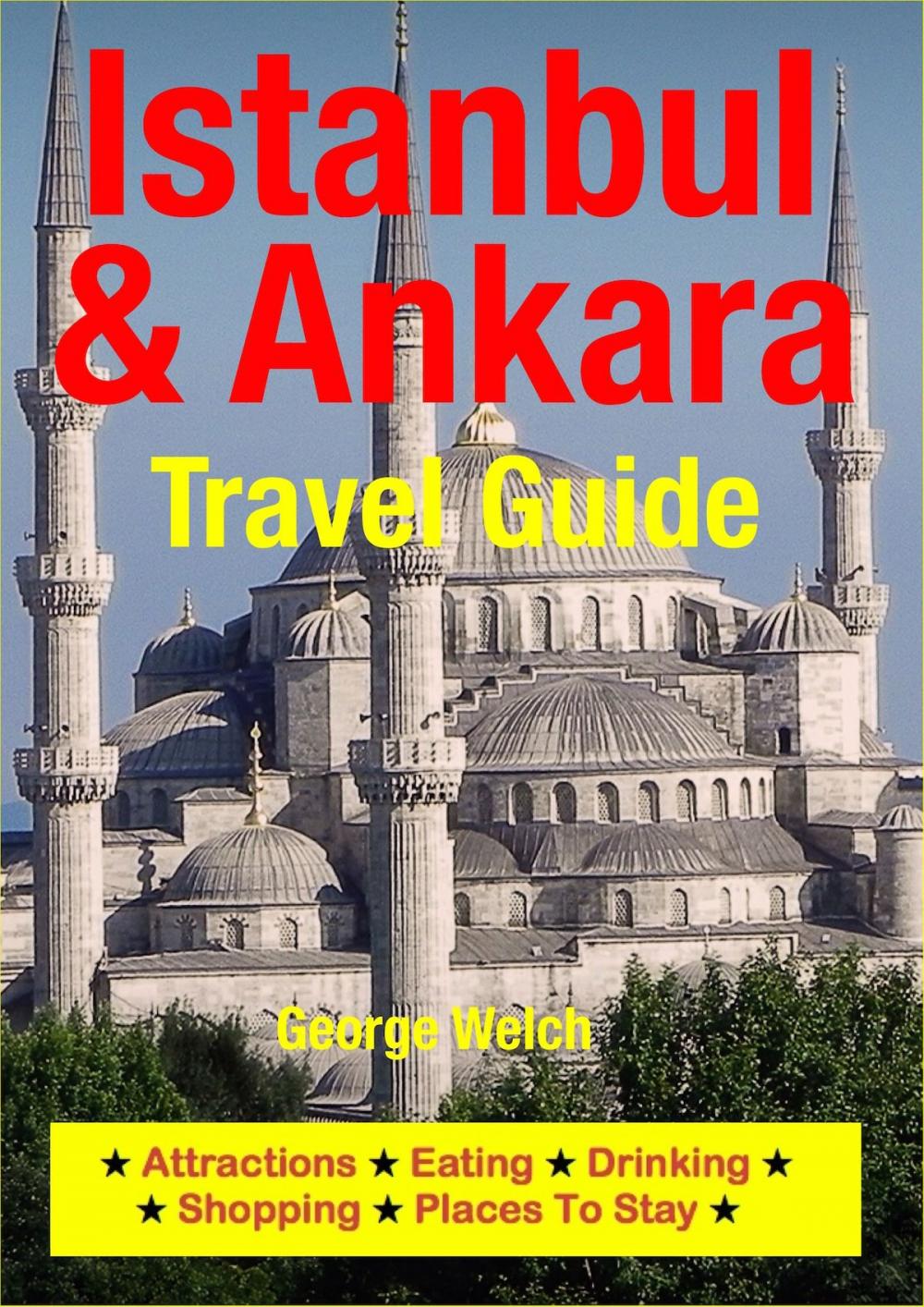 Big bigCover of Istanbul & Ankara Travel Guide