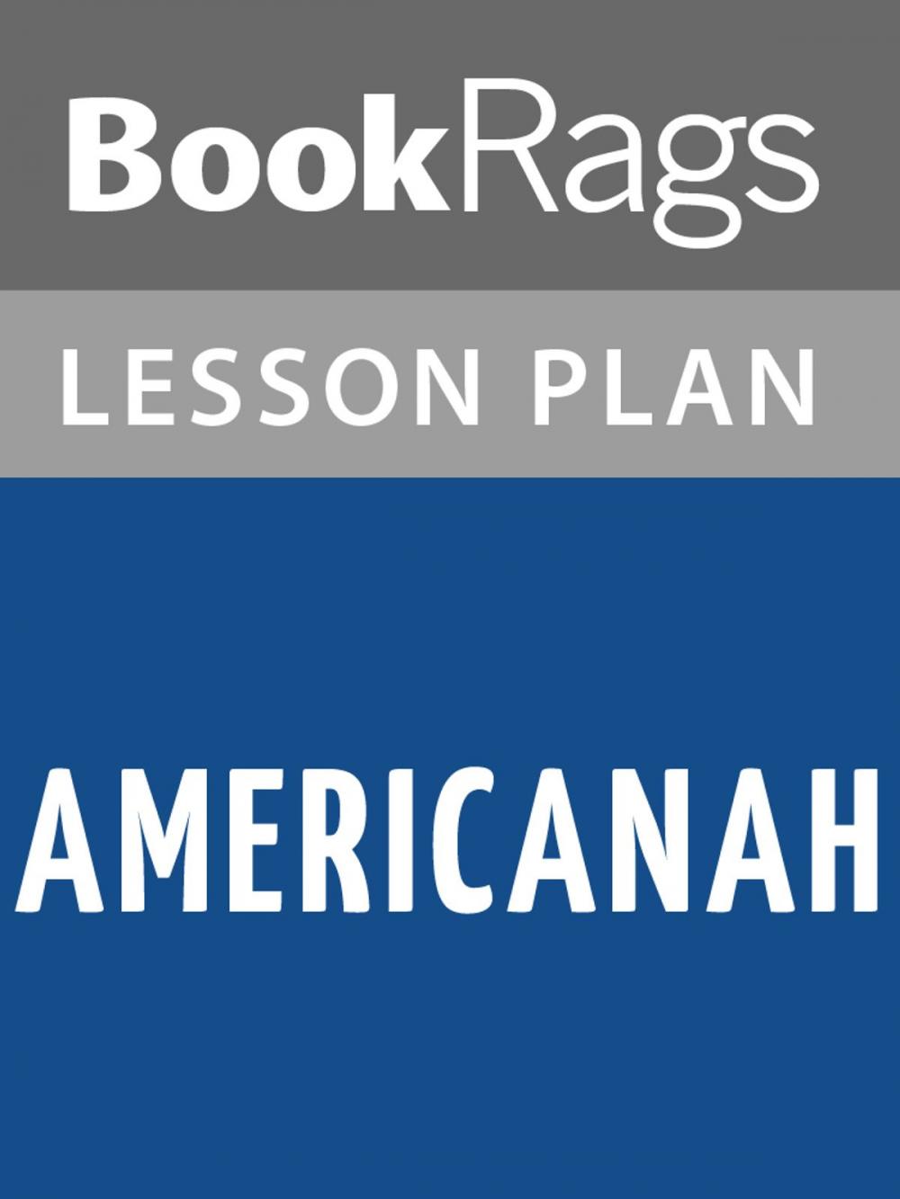 Big bigCover of Americanah Lesson Plans