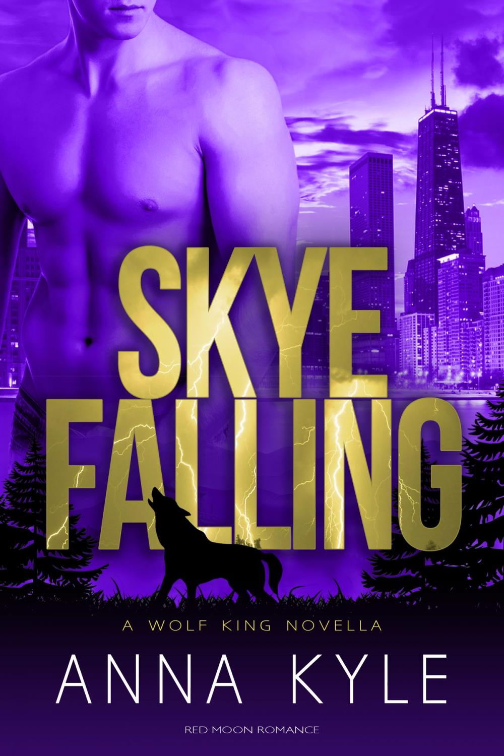 Big bigCover of Skye Falling