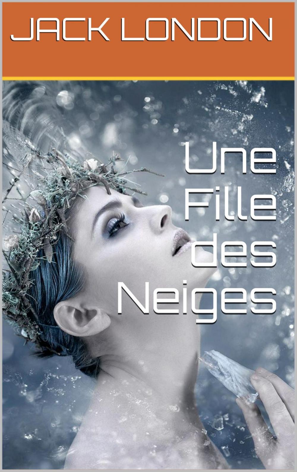 Big bigCover of Une Fille des Neiges