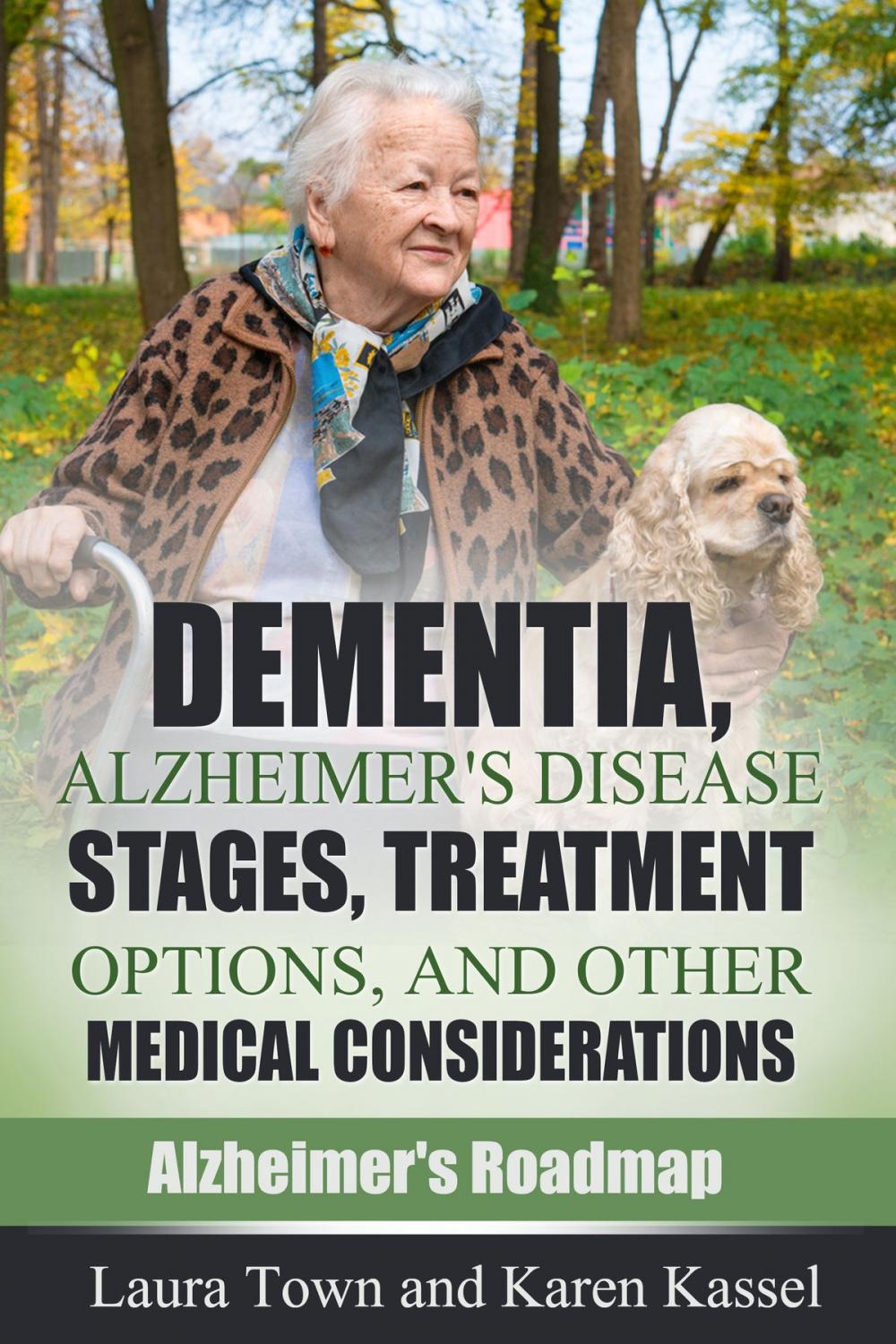 Big bigCover of Dementia, Alzheimer's Disease Stages, Treatment Options, and Other Medical Considerations
