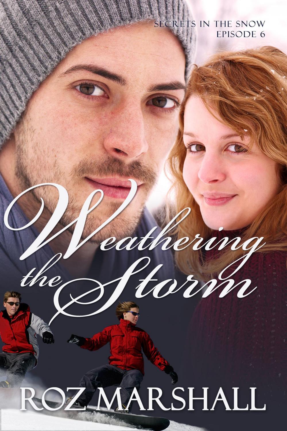 Big bigCover of Weathering the Storm