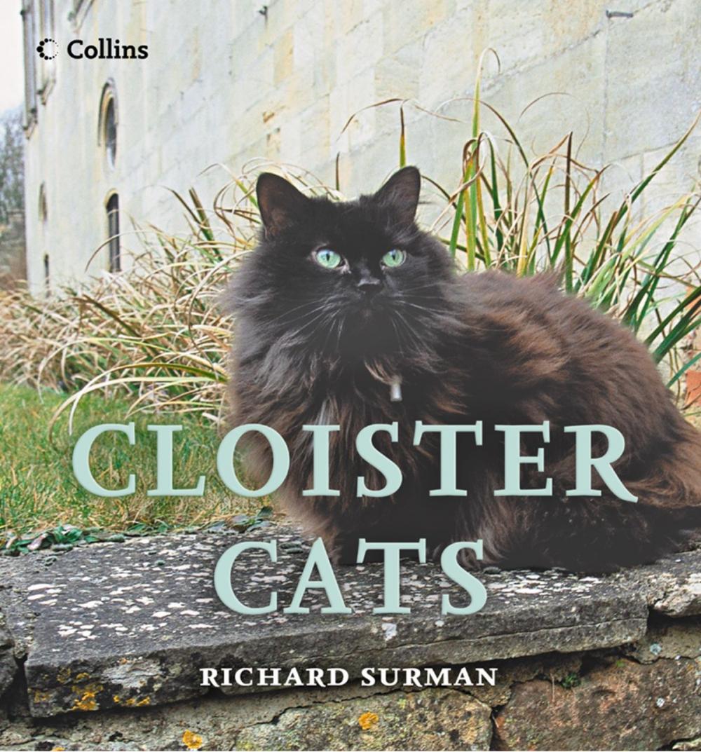 Big bigCover of Cloister Cats