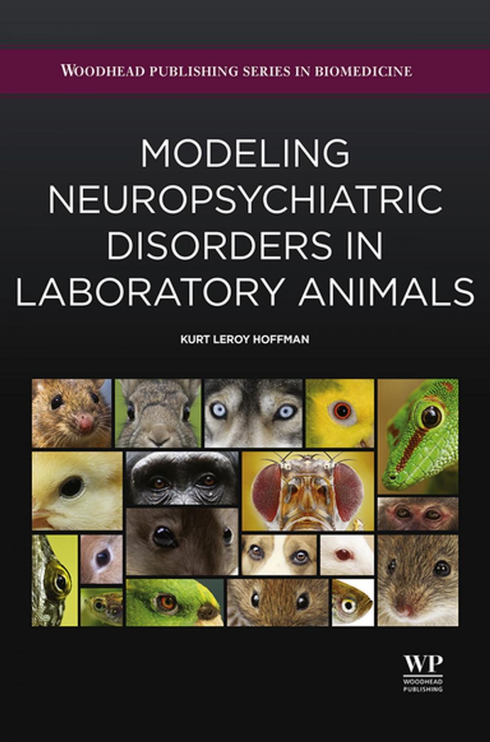 Big bigCover of Modeling Neuropsychiatric Disorders in Laboratory Animals