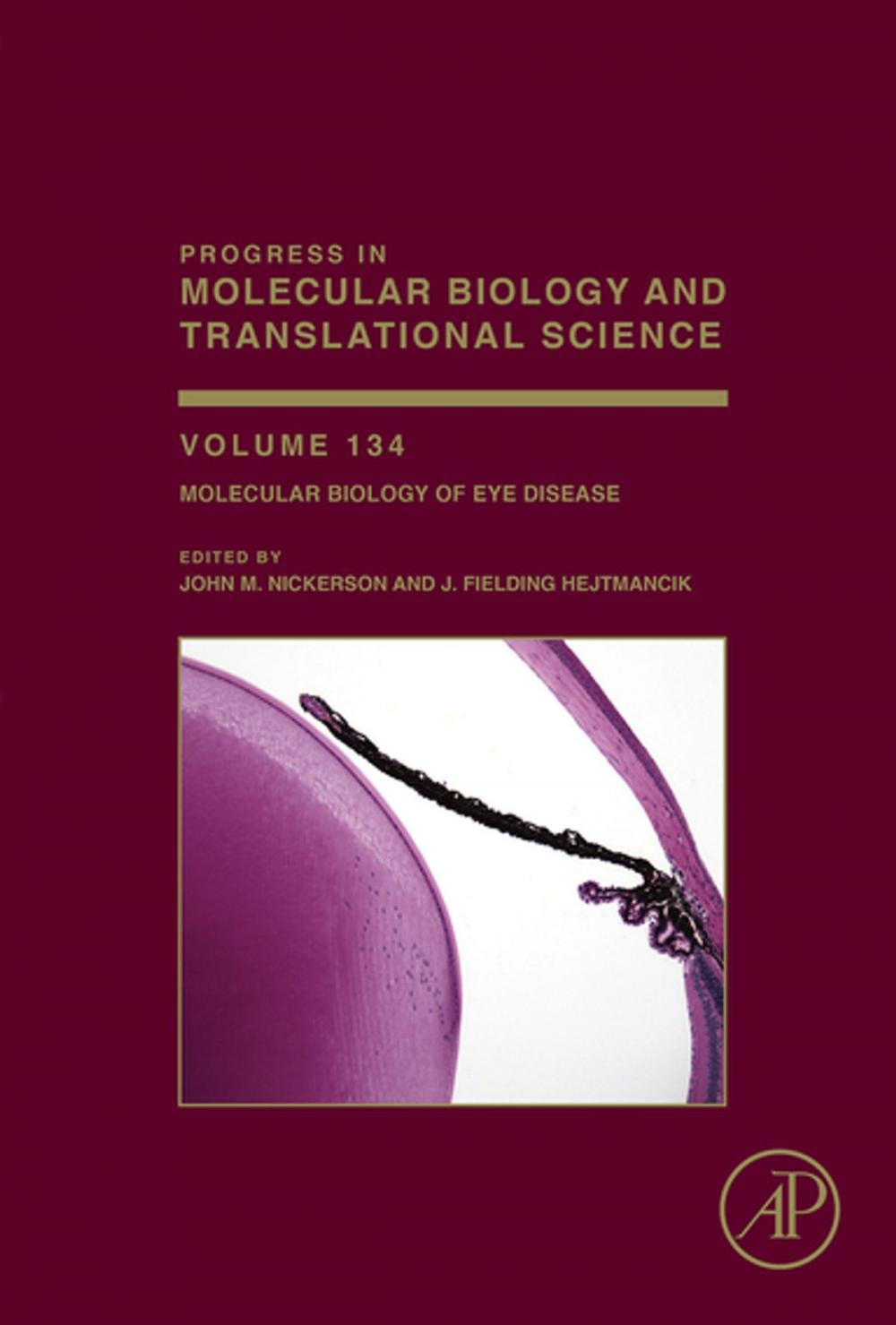 Big bigCover of Molecular Biology of Eye Disease