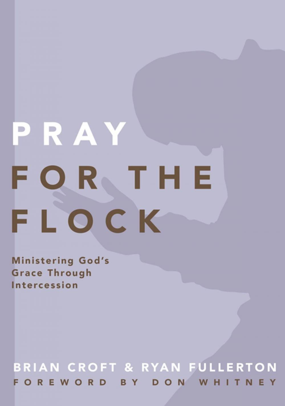 Big bigCover of Pray for the Flock