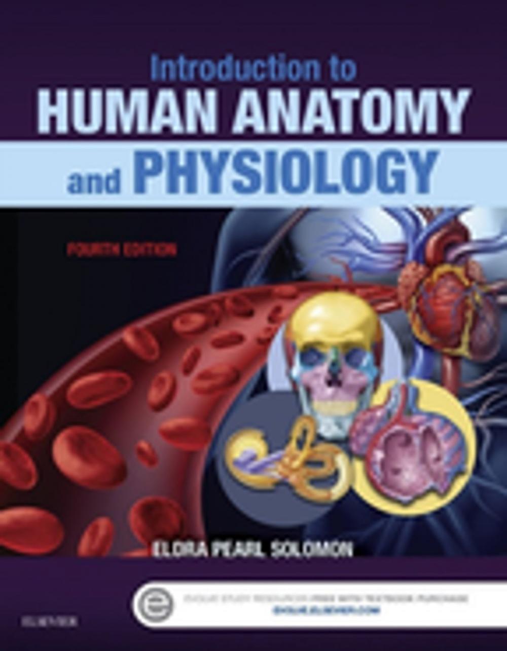 Big bigCover of Introduction to Human Anatomy and Physiology - E-Book