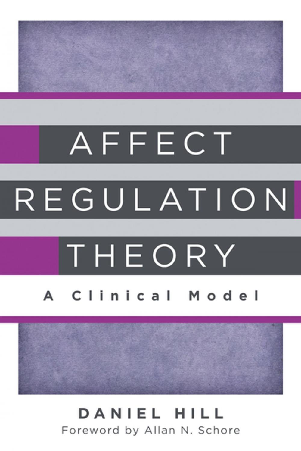 Big bigCover of Affect Regulation Theory: A Clinical Model (Norton Series on Interpersonal Neurobiology)