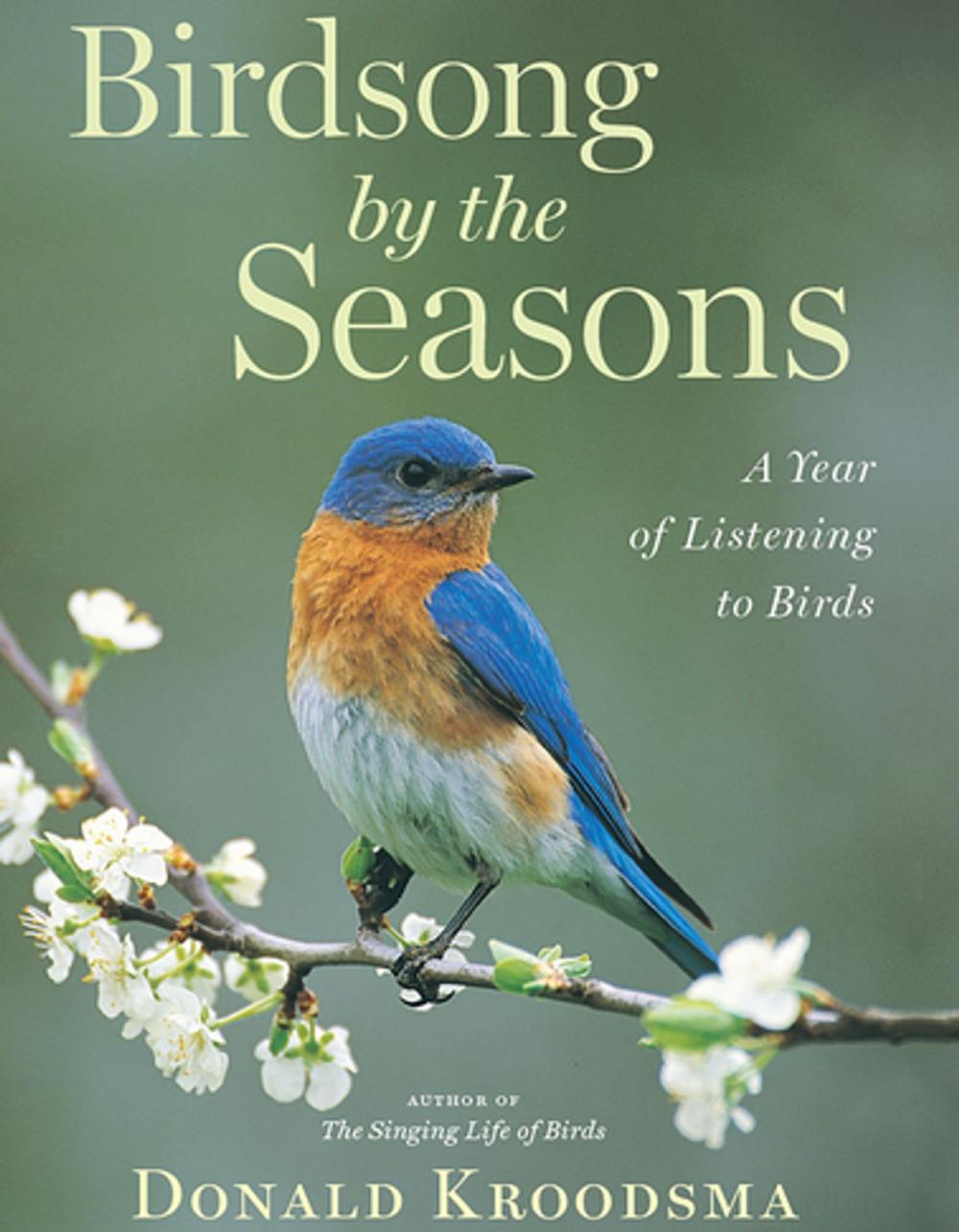 Big bigCover of Birdsong by the Seasons