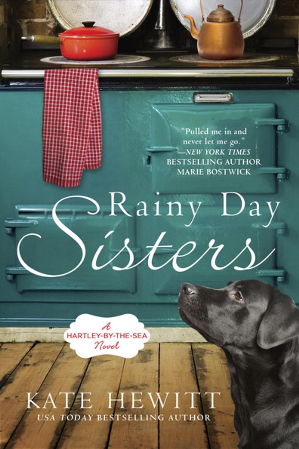 Big bigCover of Rainy Day Sisters