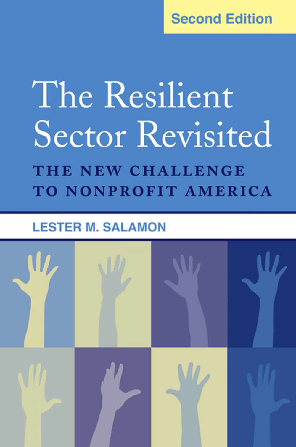 Big bigCover of The Resilient Sector Revisited