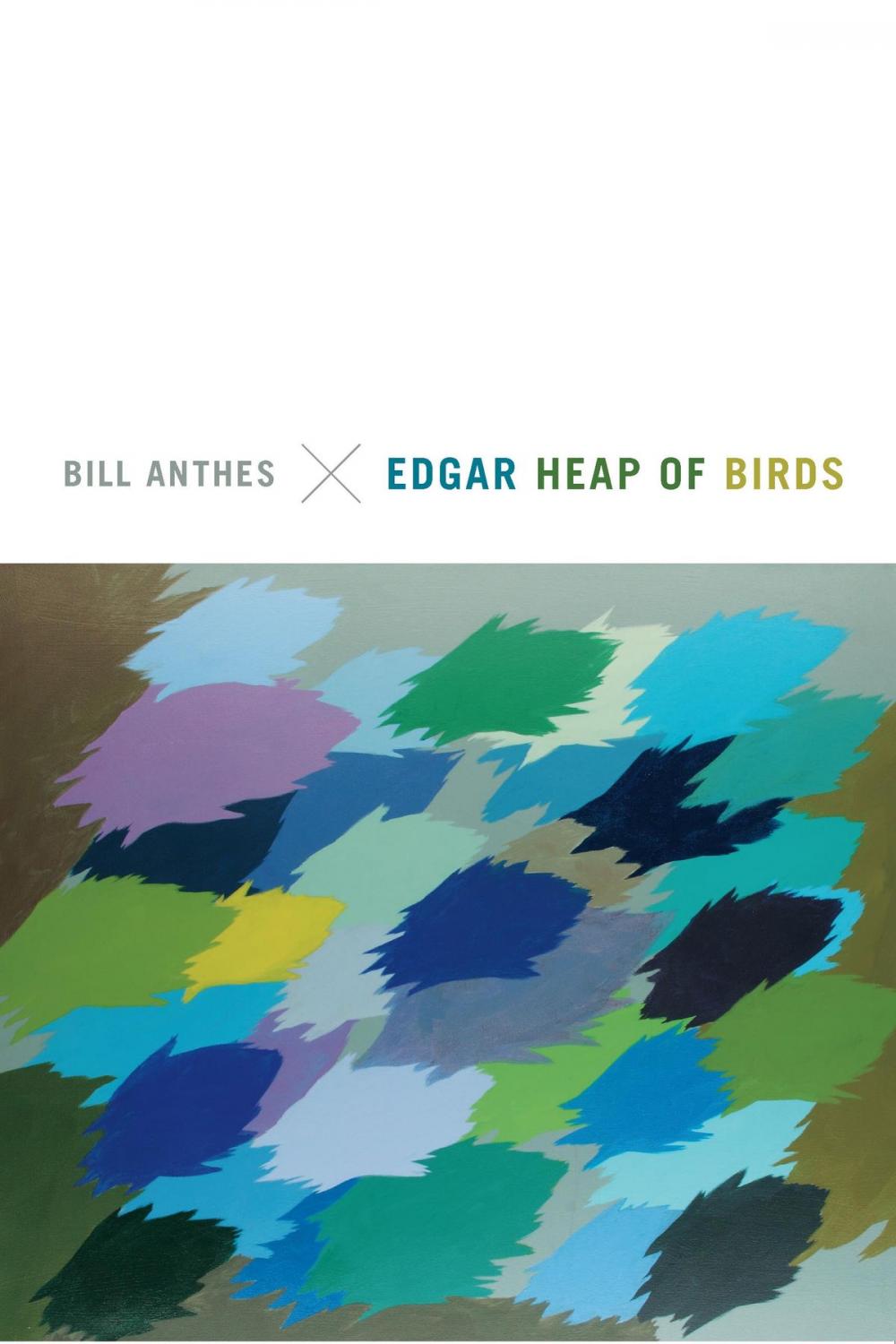 Big bigCover of Edgar Heap of Birds