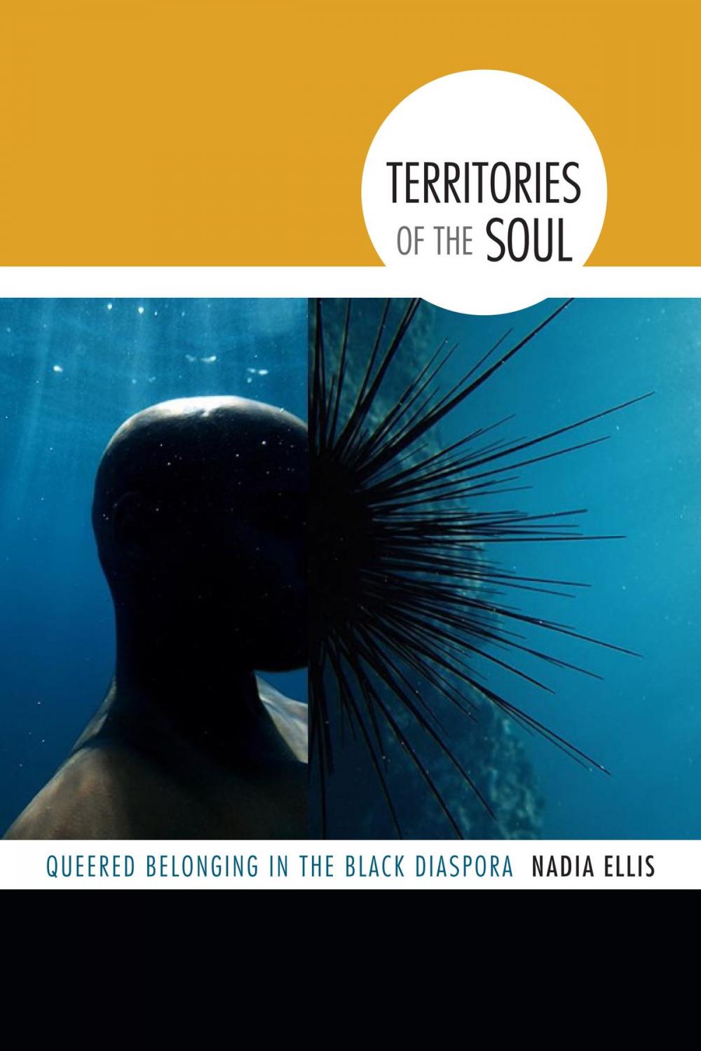 Big bigCover of Territories of the Soul